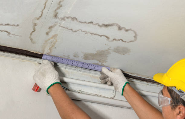 Reliable Water Damage Repair contractor in Abbeville, GA by Hirex Water Damage